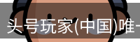 头号玩家(中国)唯一官方网站